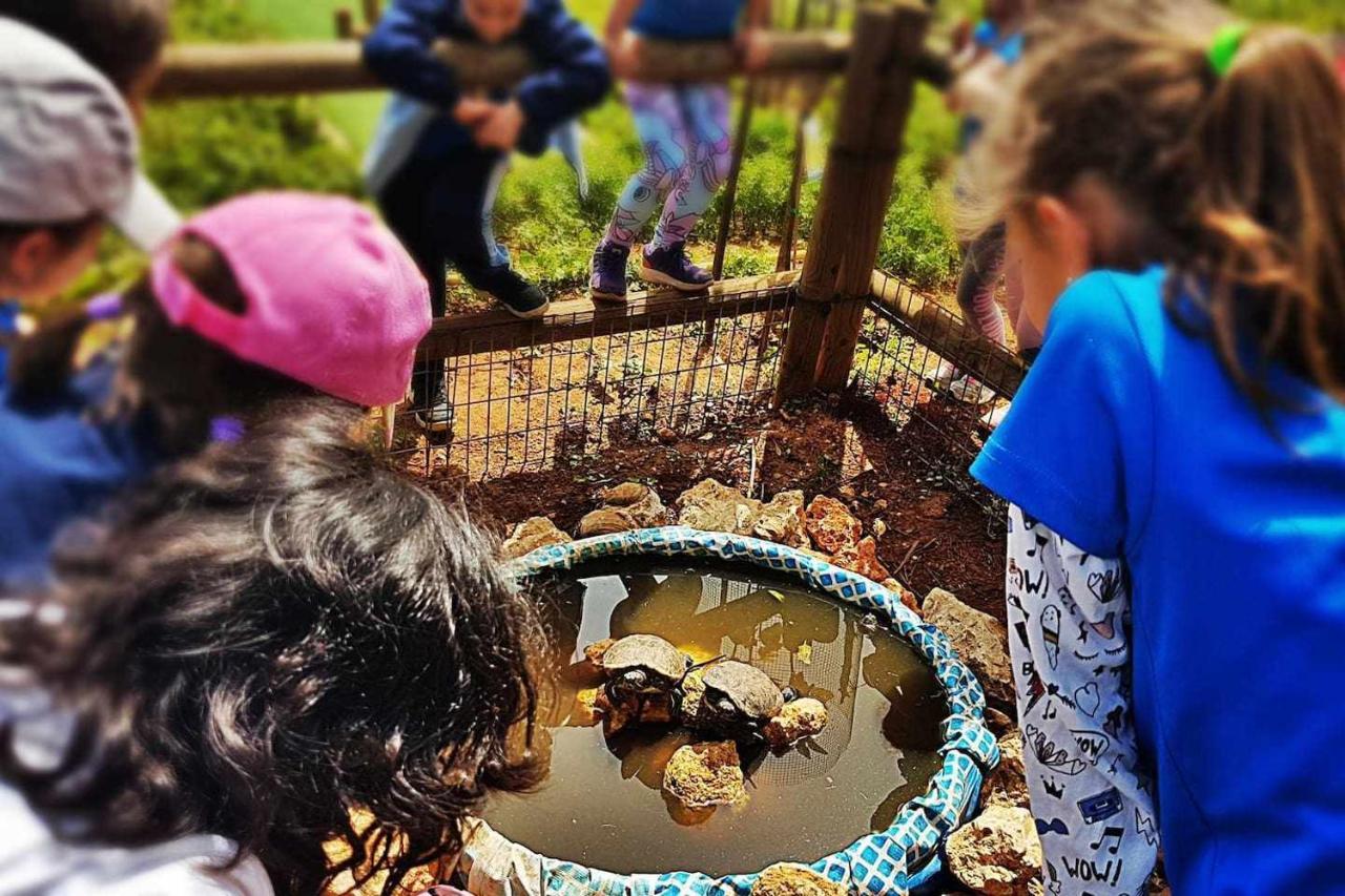 Casa Rural Finca Real De Niebla ภายนอก รูปภาพ