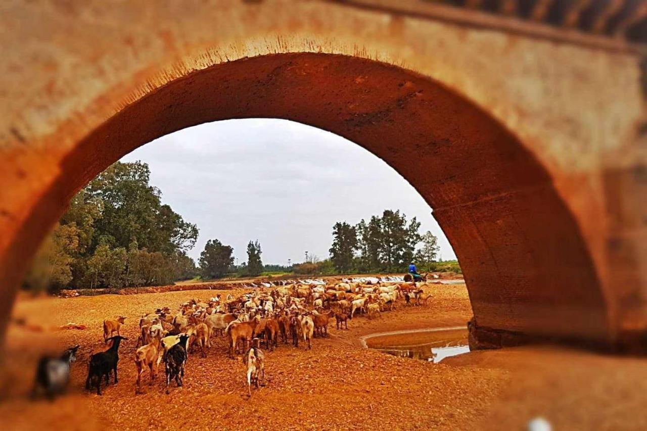Casa Rural Finca Real De Niebla ภายนอก รูปภาพ