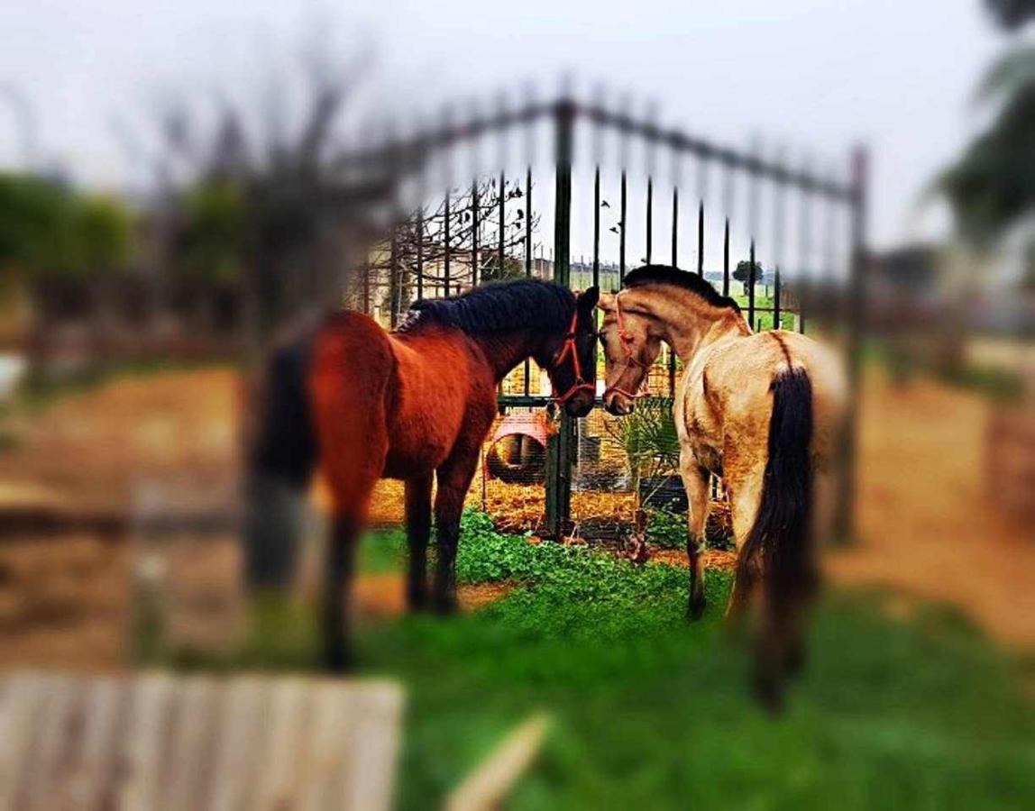 Casa Rural Finca Real De Niebla ภายนอก รูปภาพ