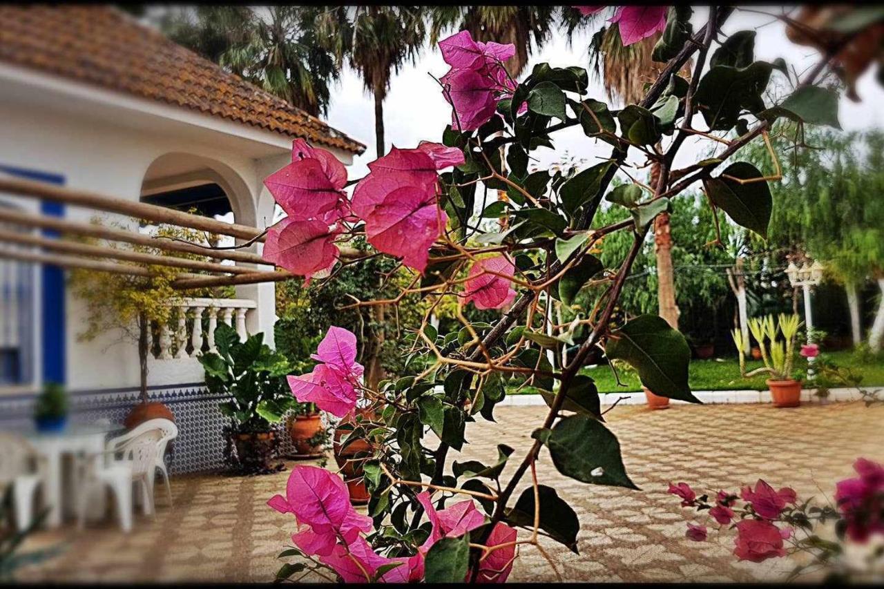 Casa Rural Finca Real De Niebla Guest House ภายนอก รูปภาพ